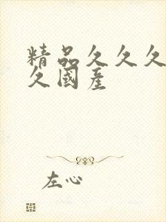 精品久久久久久久国产