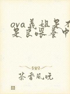 ova义姐是不是良喂养中