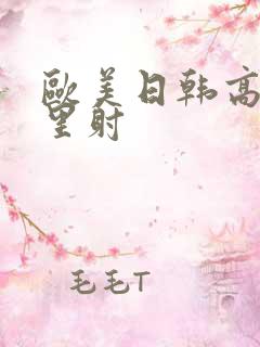 欧美日韩高清往里射