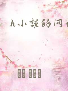 h小说的网站