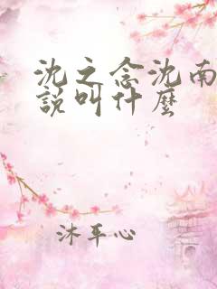 沈之念沈南乔小说叫什么