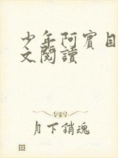 少年阿宾目录全文阅读