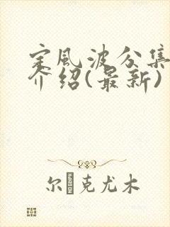 定风波分集剧情介绍(最新)