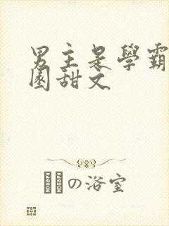 男主是学霸的校园甜文