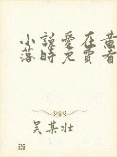 小说爱在黄昏日落时免费看