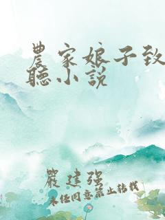 农家娘子致富记听小说