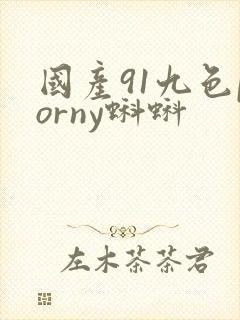 国产91九色porny蝌蚪