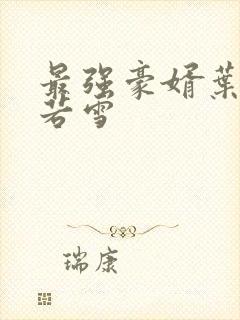 最强豪婿叶凡唐若雪