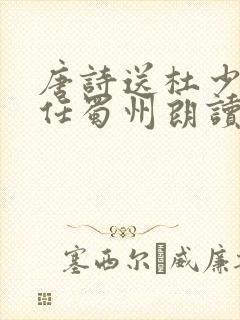 唐诗送杜少府之任蜀州朗读