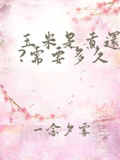 玉米是煮还是蒸?需要多久