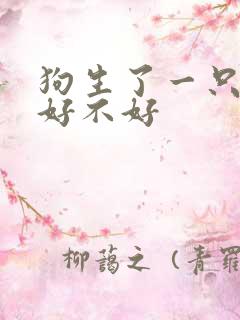 狗生了一只小狗好不好