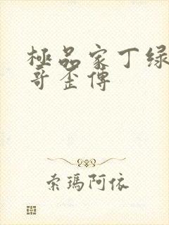 极品家丁绿帽三哥歪传
