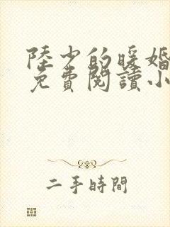 陆少的暖婚新妻免费阅读小说