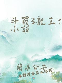 斗罗3龙王传说小说