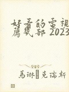 好看的电视剧推荐几部 2023年上映