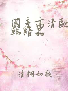 国产高清欧美日韩精品