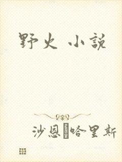 野火 小说