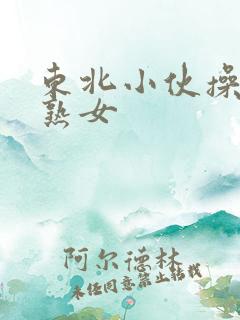 东北小伙操,老熟女