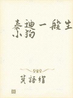 泰迪一般生几只小狗