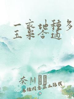 一亩地种多少株玉米合适
