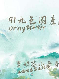 91九色国产porny蝌蚪
