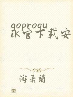 goproquik官下载安卓