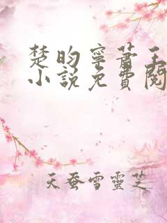 楚昀宁萧王穿越小说免费阅读无弹窗