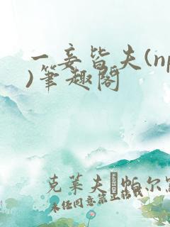 一妾皆夫(np)笔趣阁