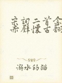 宋词二首念奴娇赤壁怀古翻译