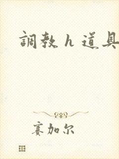 调教 h 道具