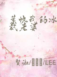 叶帆我的冰山总裁老婆