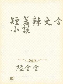 短篇辣文合集的小说