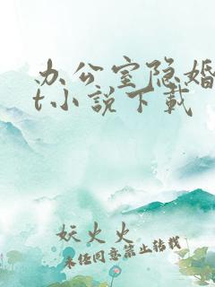 办公室隐婚txt小说下载