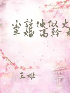 小说他似火 (军婚 高干 婚恋)免费阅读