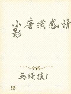 小唐璜感情史电影