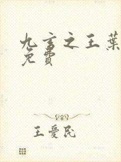 九玄之王叶浮生免费