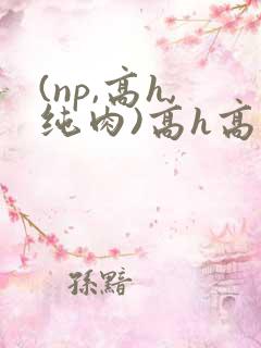 (np,高h,纯肉)高h高辣视频