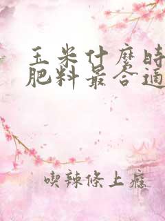 玉米什么时候上肥料最合适