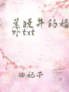 叶晓井的婚里婚外txt
