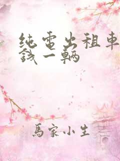 纯电出租车多少钱一辆