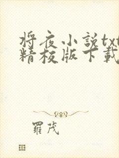 将夜小说txt精校版下载