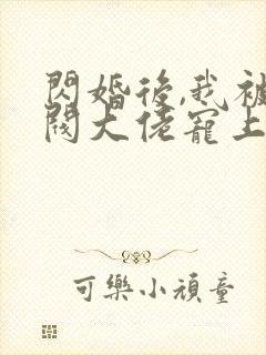 闪婚后,我被财阀大佬宠上天