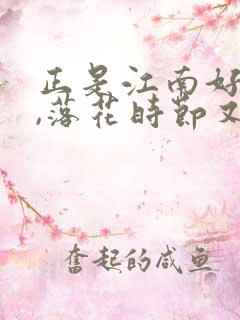 正是江南好风景,落花时节又逢君翻译