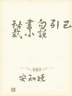秘书勾引已婚总裁小说