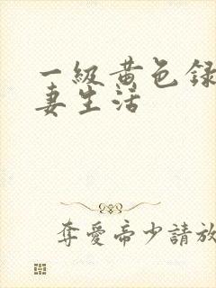 一级黄色录像夫妻生活