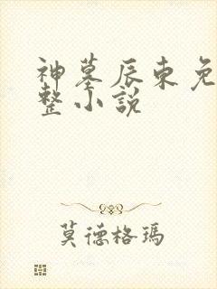 神墓辰东免费完整小说