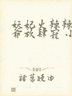 妖妃火辣辣:王爷放肆宠 小说