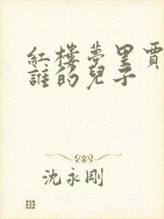 红楼梦里贾琏是谁的儿子