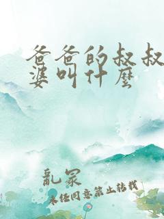 爸爸的叔叔的老婆叫什么
