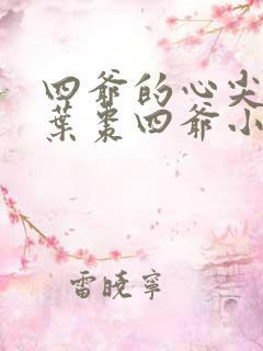 四爷的心尖宠妃叶枣四爷小说全文